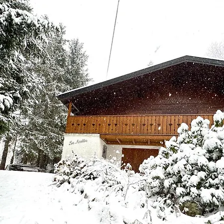 Chalet Les Airelles *